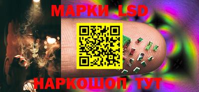 apvp Ярославль