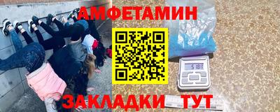 apvp Ярославль