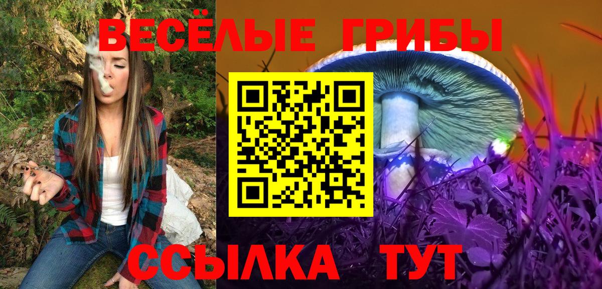 Псилоцибиновые грибы Psilocybine cubensis Богородицк