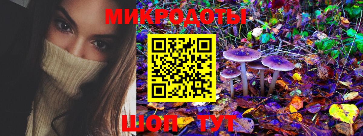 Псилоцибиновые грибы Psilocybine cubensis  Вход с VPN  даркнет сайт  Богородицк 